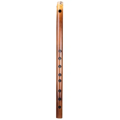 musicmaster-d-carnatic-flute -front-view