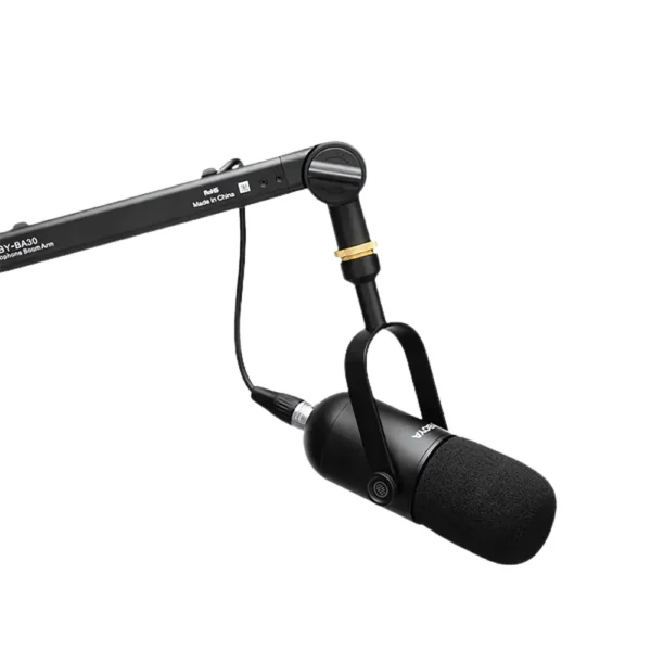 boya by DM500-microphones stand musicmaster