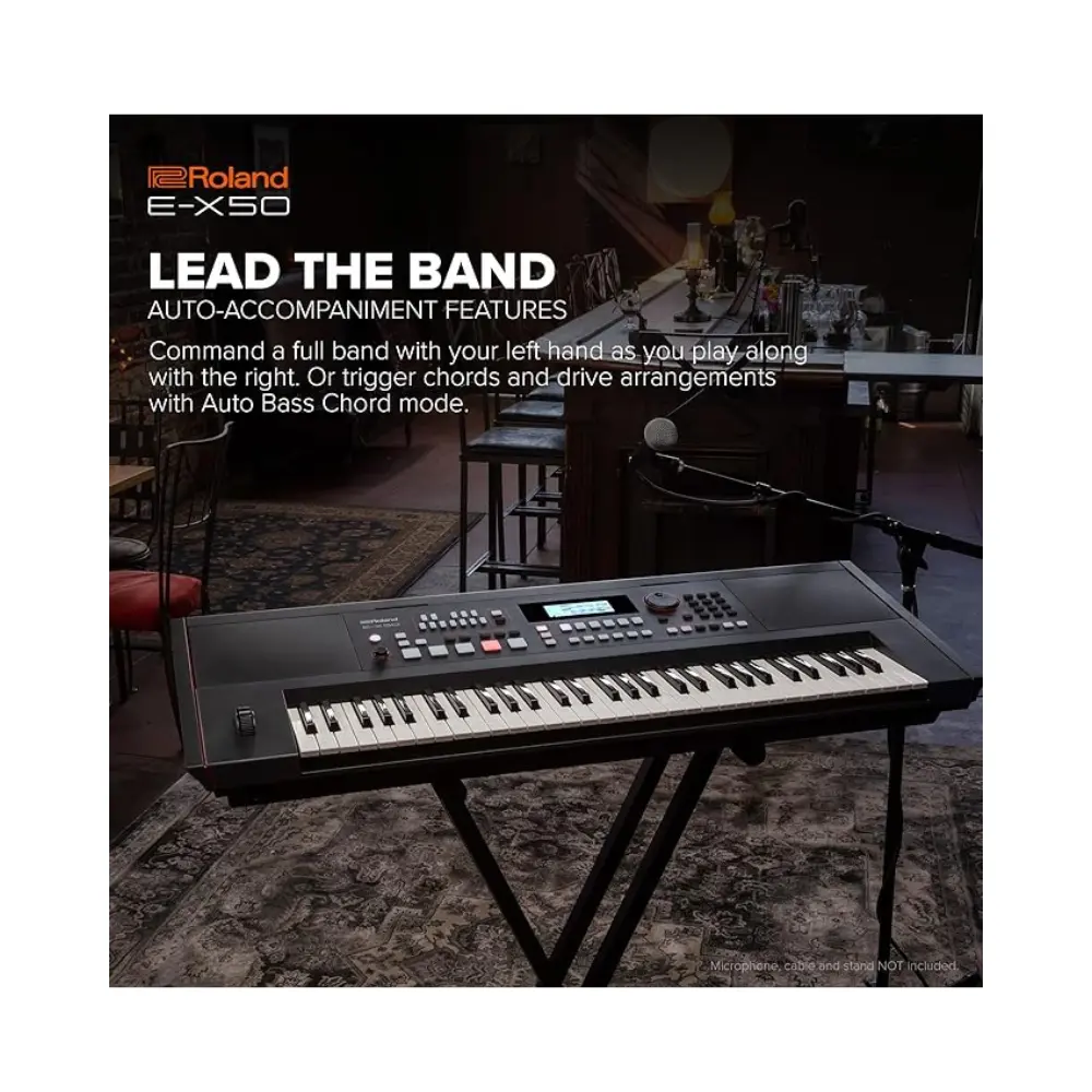 Roland E-X50 - Image 3