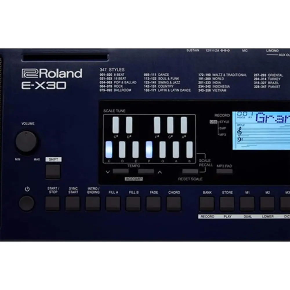 Option view Roland-E-X30-keyboard