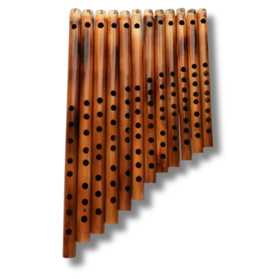Carnatic Flute Set
